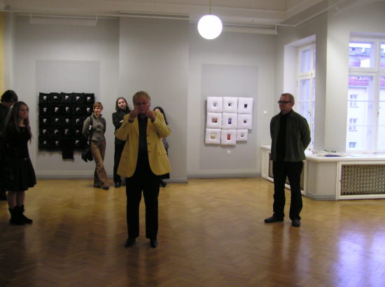 Urmas Viigi näitus "Praktiline ilu"
